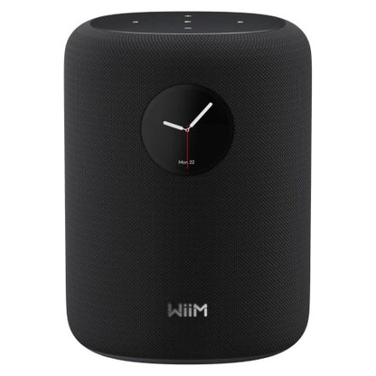 WiiM Sound Speaker