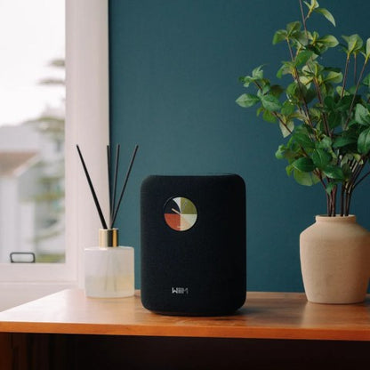 WiiM Sound Speaker