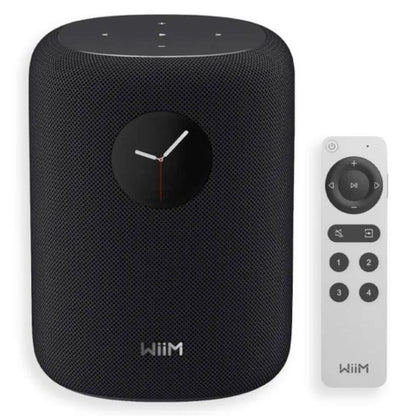 WiiM Sound Speaker
